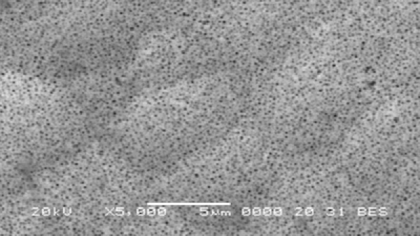 Selbstschmierende chemische Nickelbeschichtungen