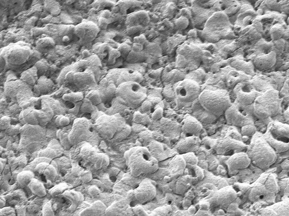 2000x: surface view of PEO coating on magnesium